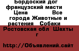 Бордоский дог ( французский масти)  › Цена ­ 50 000 - Все города Животные и растения » Собаки   . Ростовская обл.,Шахты г.